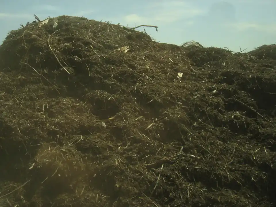 Sugar mill filter cake stockpiled for boiler fuel and biogas